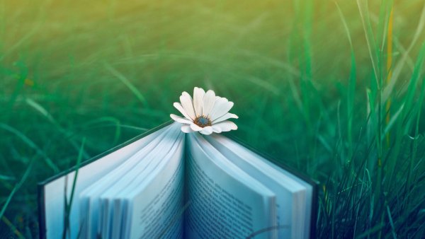 Книга природа
