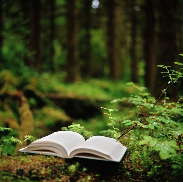 Книжки про природу