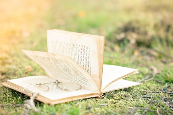 Книги на Светлом фоне