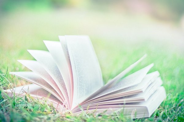 Книга на фоне природы