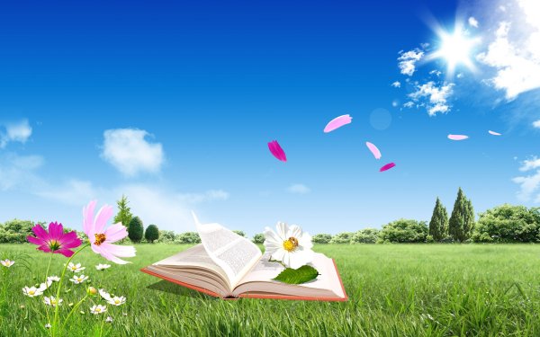 Книжка на лавочке в парке