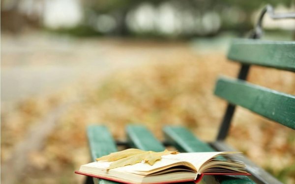 Лето с книгой