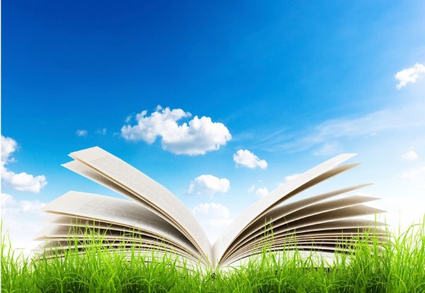 Книга на прозрачном фоне