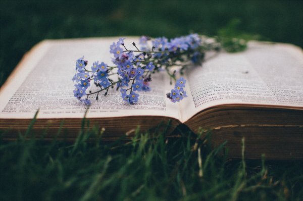 Книга для…