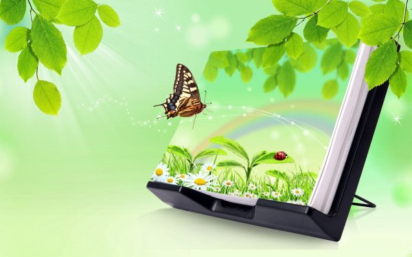 Лето книга фон