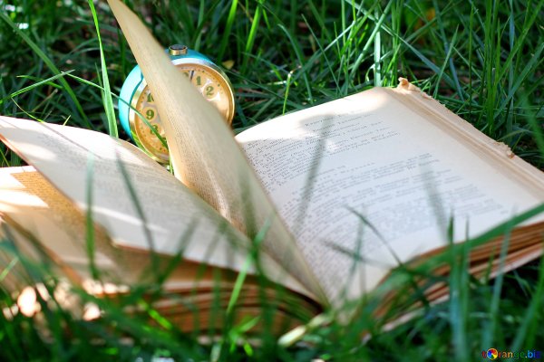 Лето с книгой