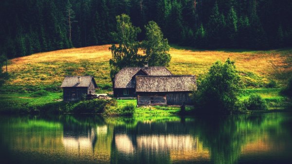 Домик в лесу