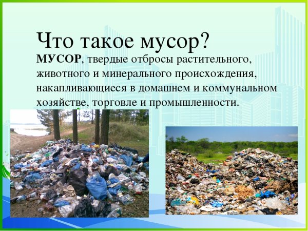 Экологические проблемы