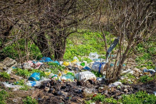 Защита окружающей среды от мусора
