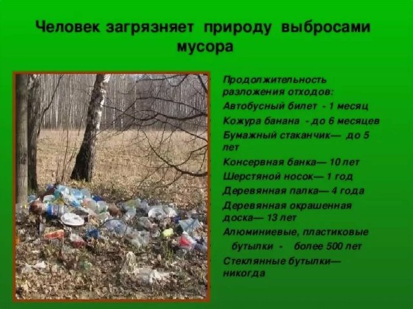 Экологическая катастрофа