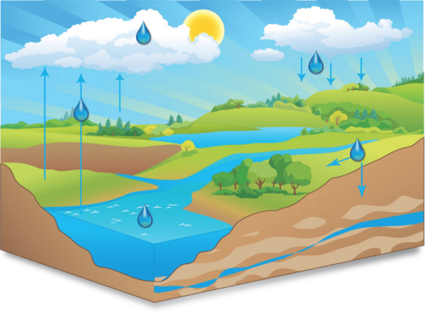 Круговорот воды