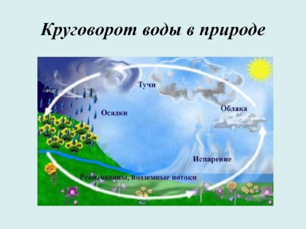 Схема малого круговорота воды в природе