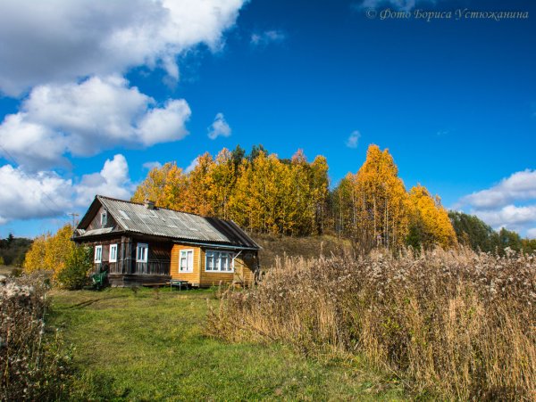 Тверская деревня осень