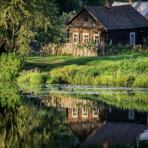 Природа домик в деревне