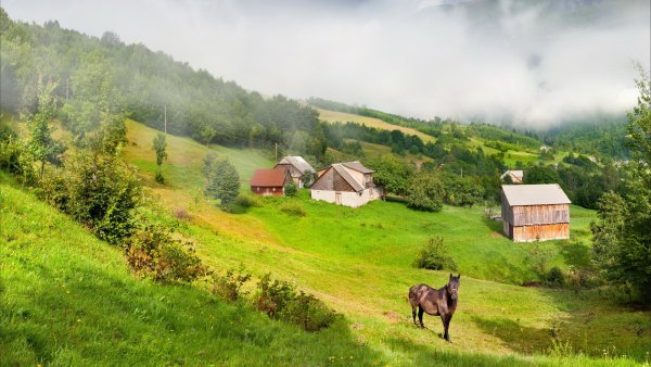 Озеро деревня лес Новосибирск