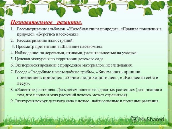Жалобная книга природы в детском саду