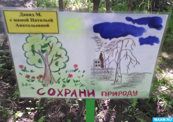 Жалобная книга природы в детском саду рисунки