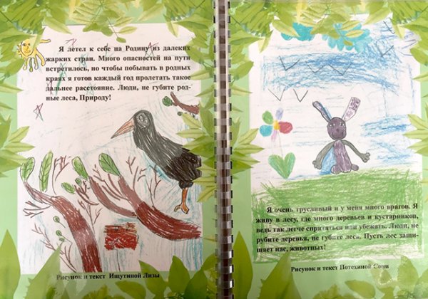 Обложка для книги своими руками о природе
