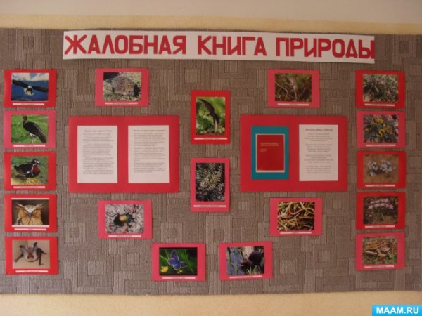Жалобная книга природы в детском саду рисунки