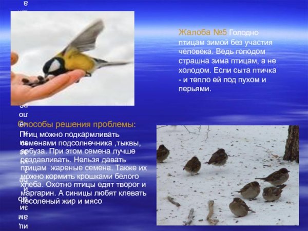 Жалобная книга природы бабочки