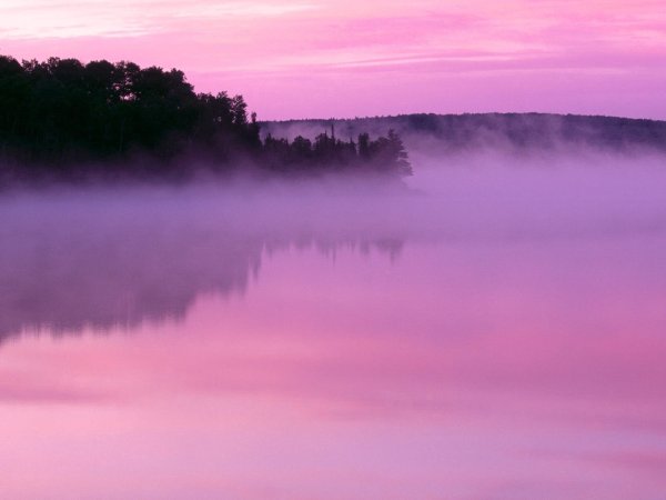Сакура пейзаж