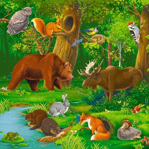 Звери в лесу