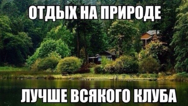 Приколы про отдых на природе