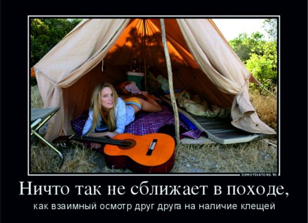 Шашлык в лесу