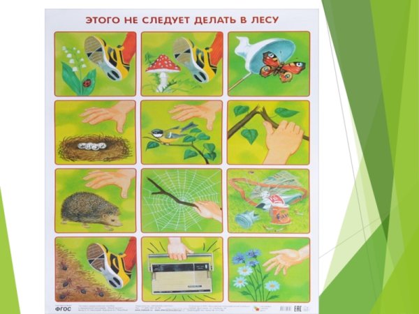 Весна сезонные изменения в природе