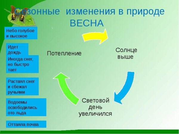 Осенние явления в живой и неживой природе
