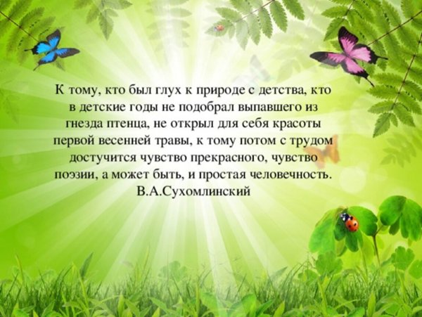 Стих про лес короткие