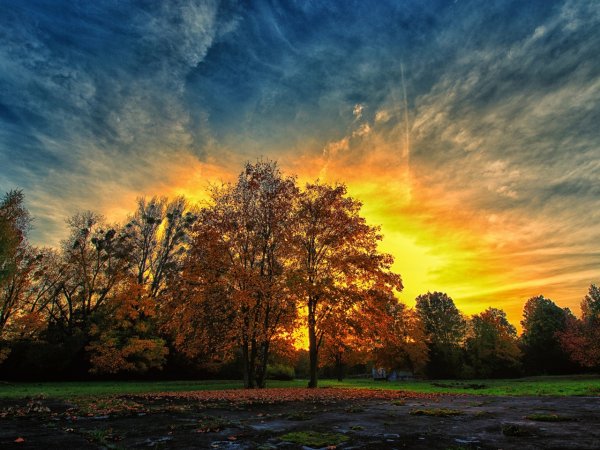Добрый вечер в деревне