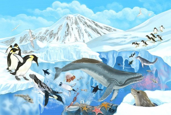 Антарктида для детей