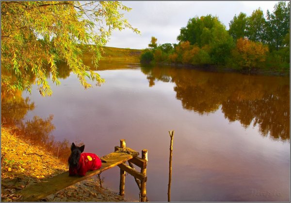 Красота русской природы