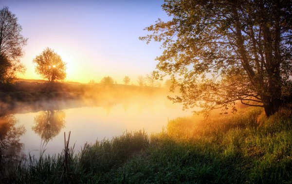 Доброе утро осень природа