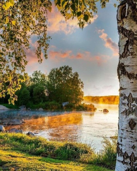 Цветы в горах