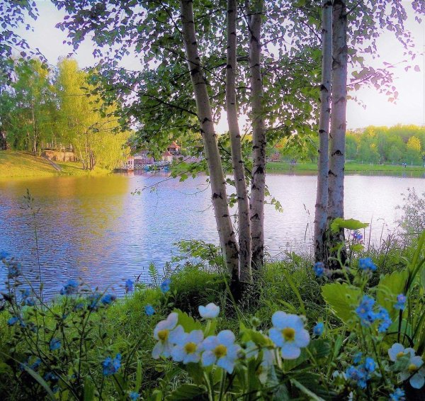 Утренний осенний пейзаж