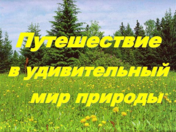 Путешествие в мир природы