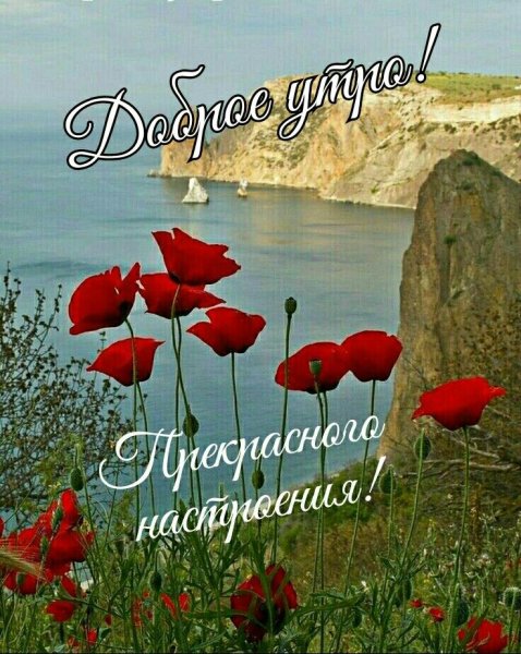 Горный цветок