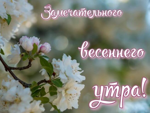 Доброе утро хорошего дня Весна