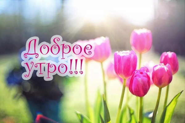 Открытки с добрым утром весенние