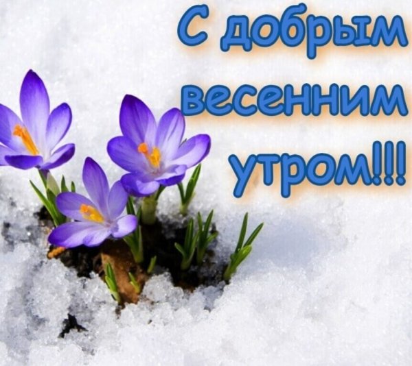 С добрым утром птицы