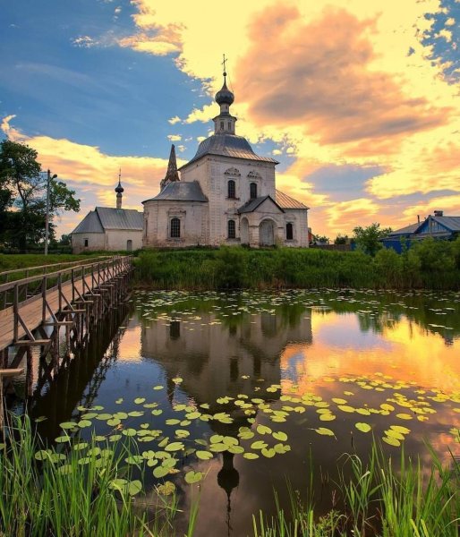 Природа Чикаго Иллинойс