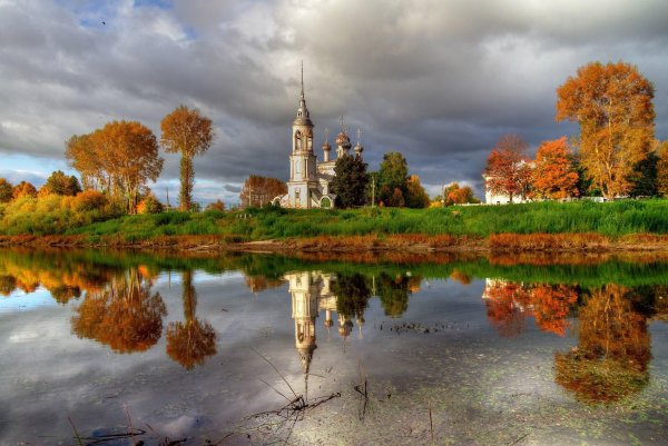 Аллея глициний в Японии