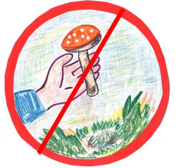 Запрещающие знаки в природе
