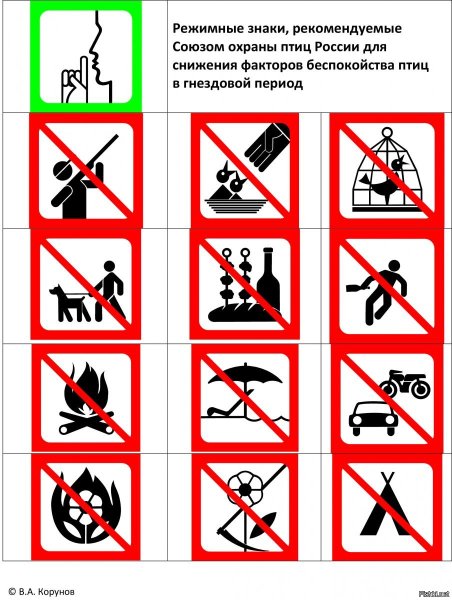 Запрещающие знаки в природе