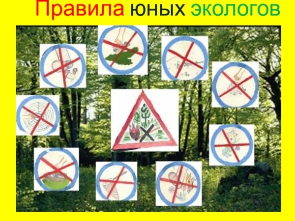 Запрещающие знаки в природе раскраски