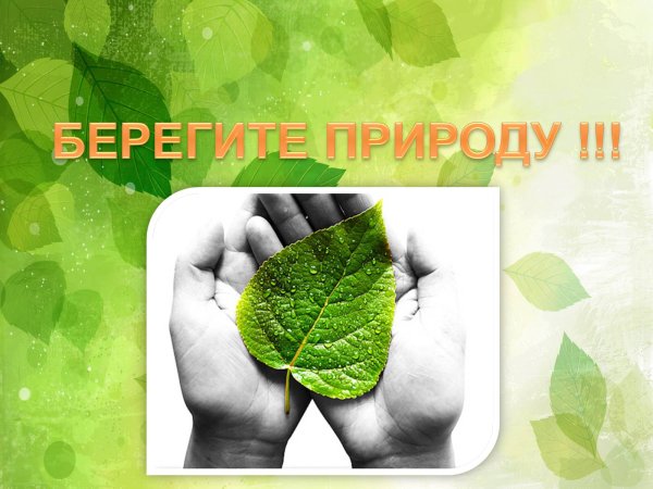 Берегите природу выбор за тобой