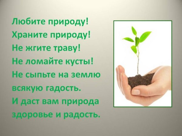 Береги природу