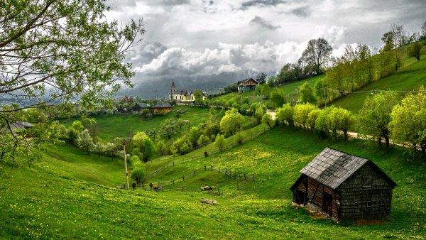 Красивая природа деревня
